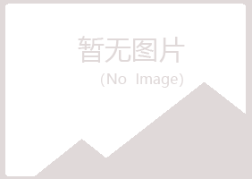 偃师秋柔会计有限公司